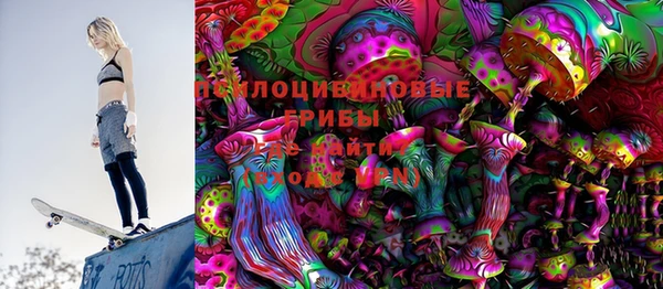 соль ск Михайлов