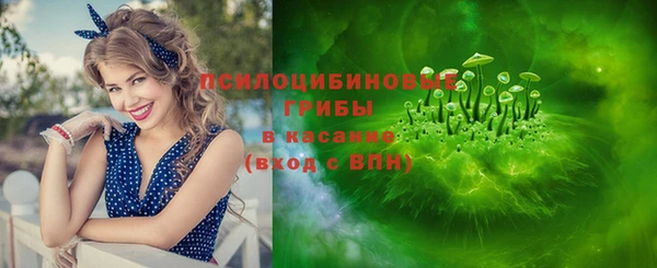 соль ск Михайлов